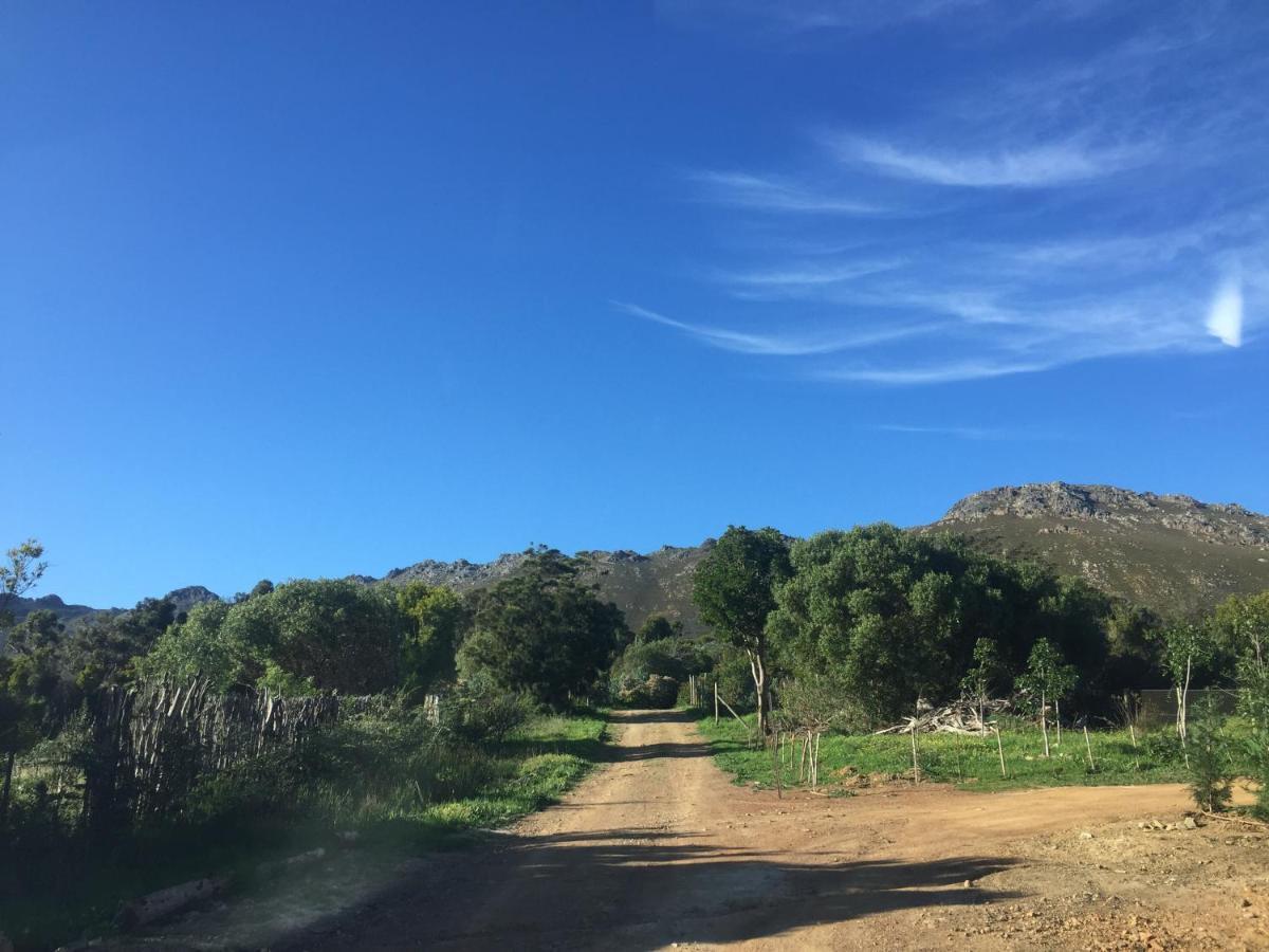 מפרץ גורדון Watermill Studios מראה חיצוני תמונה